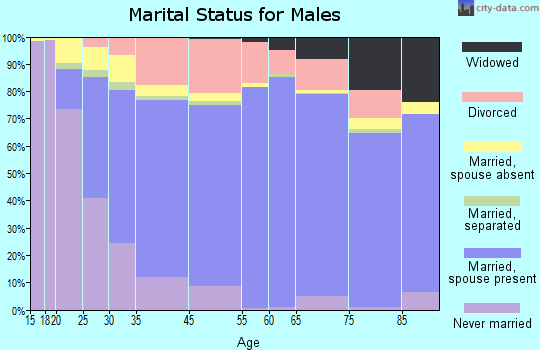 Mineral County marital status for males