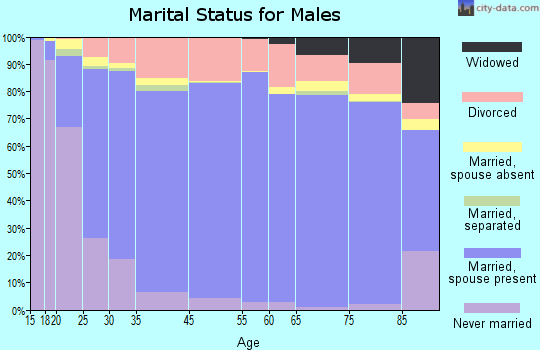 Arthur County marital status for males
