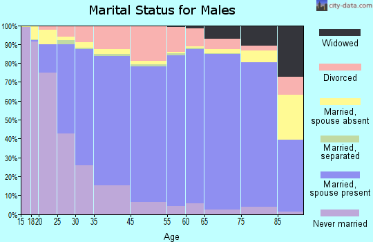 Clarke County marital status for males