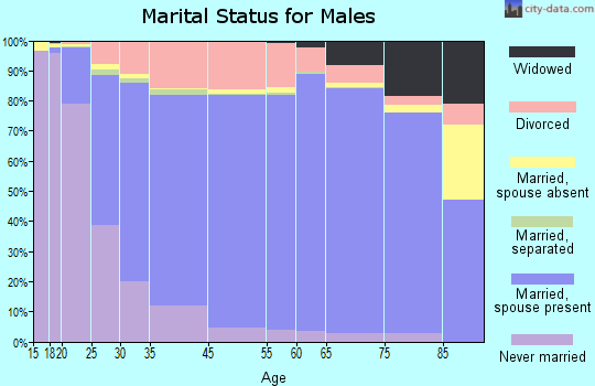 Gallatin County marital status for males
