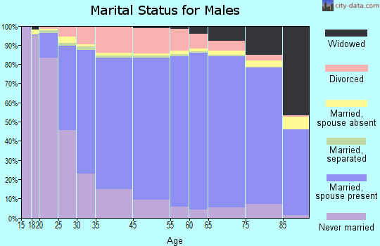Dickinson County marital status for males