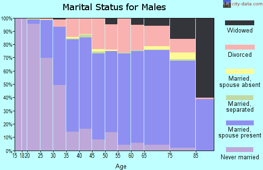 Waldo County marital status for males