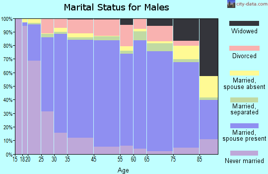Cheshire County marital status for males