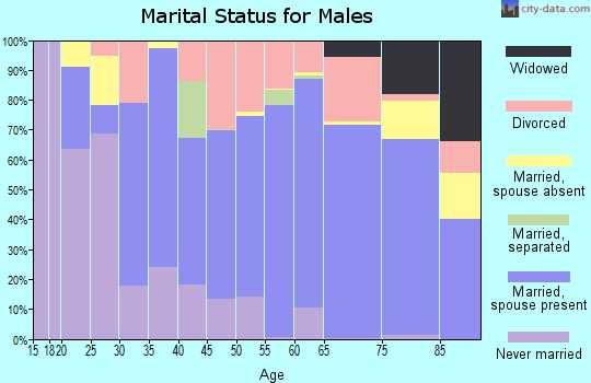Fergus County marital status for males