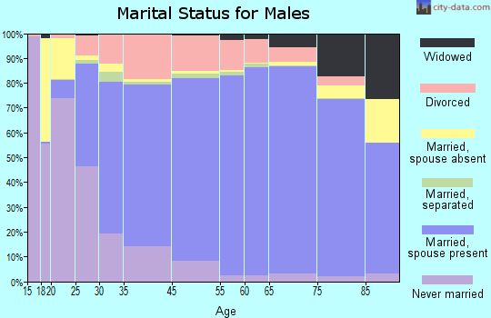 Fairfax County marital status for males