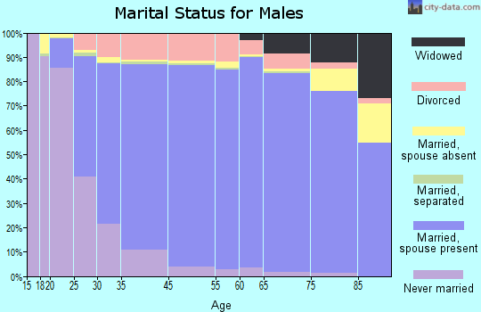 Mingo County marital status for males
