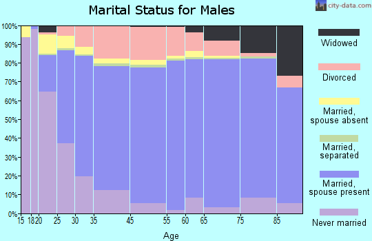 Indian River County marital status for males