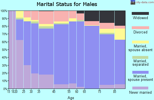 Adams County marital status for males