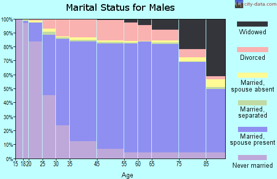 Itasca County marital status for males
