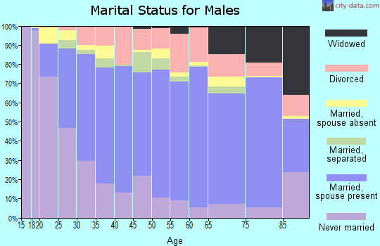 Bell County marital status for males