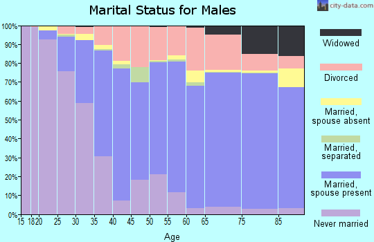Windsor County marital status for males