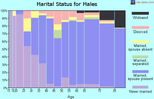 Los Alamos County marital status for males
