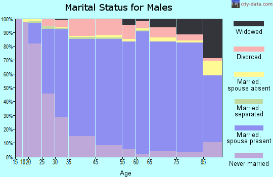 Hendricks County marital status for males