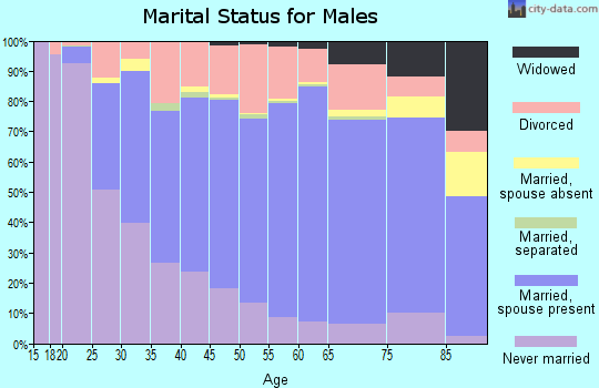 Aroostook County marital status for males