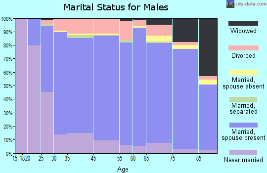 Hamblen County marital status for males
