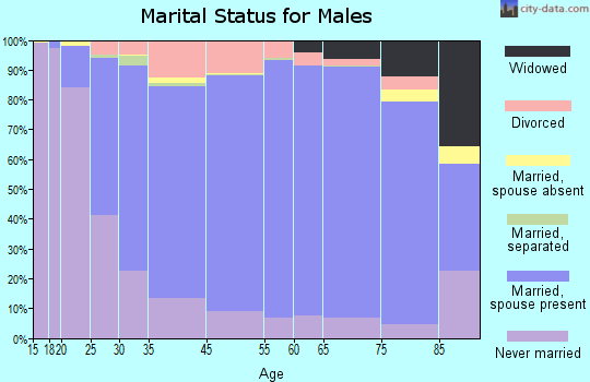 Floyd County marital status for males
