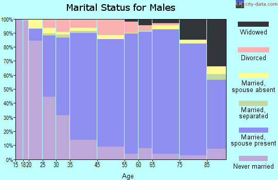 Clinch County marital status for males