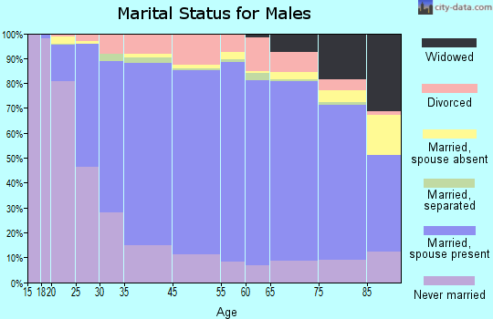 Storey County marital status for males