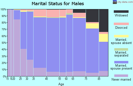 Ingham County marital status for males