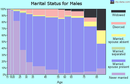 Emmons County marital status for males