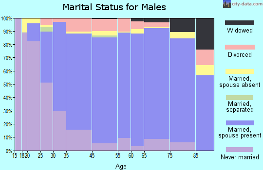 Hughes County marital status for males
