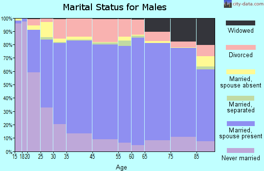 Beadle County marital status for males