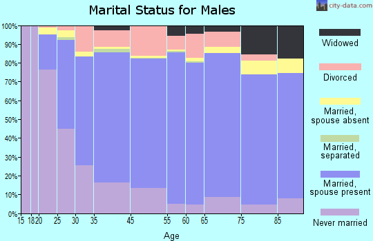 Henry County marital status for males