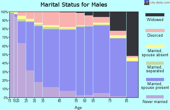 Minidoka County marital status for males