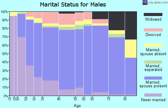 Kandiyohi County marital status for males