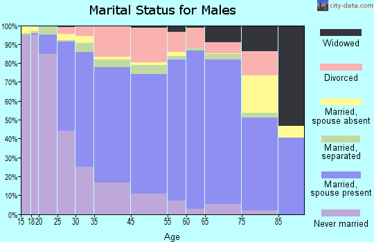 Park County marital status for males