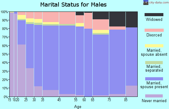 Washington County marital status for males