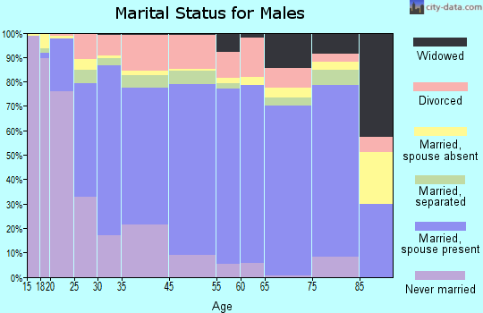 Marion County marital status for males