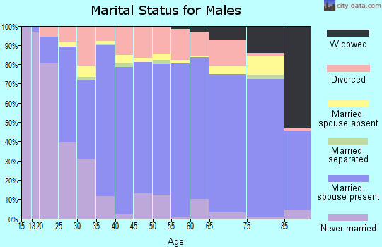 Cassia County marital status for males