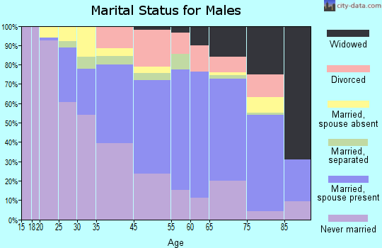 Houston County marital status for males