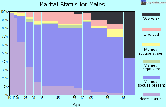 San Bernardino County marital status for males