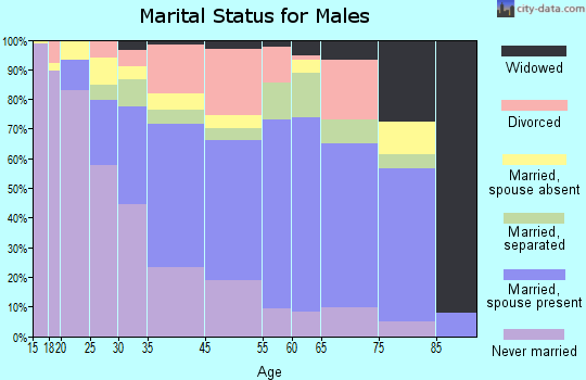 Lee County marital status for males