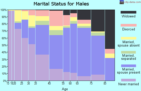 Koochiching County marital status for males