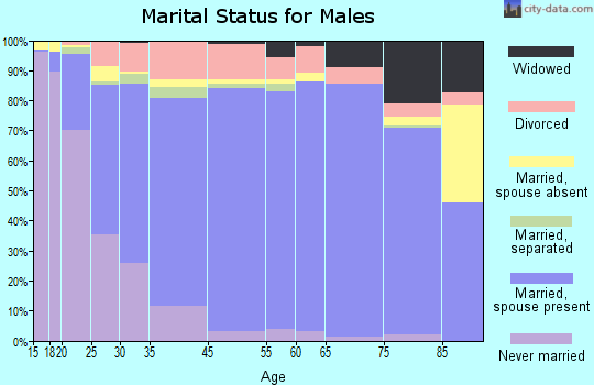 Allen County marital status for males