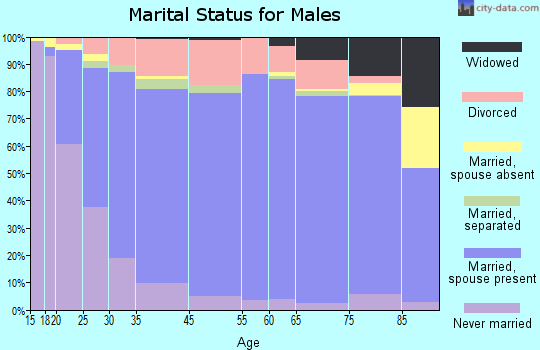 Henry County marital status for males