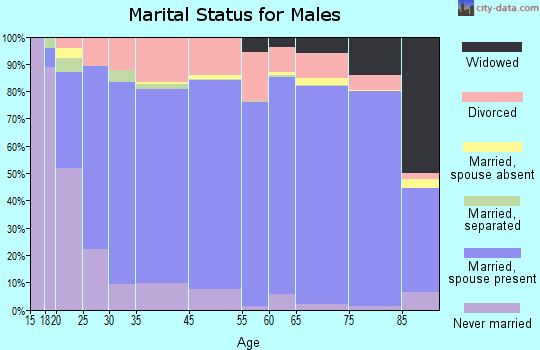 Isabella County marital status for males