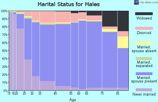 Lamar County marital status for males