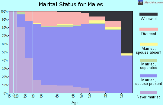 Kingfisher County marital status for males