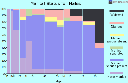 Pleasants County marital status for males
