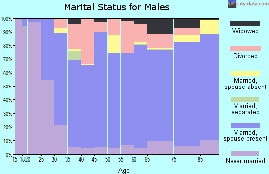 Cheyenne County marital status for males