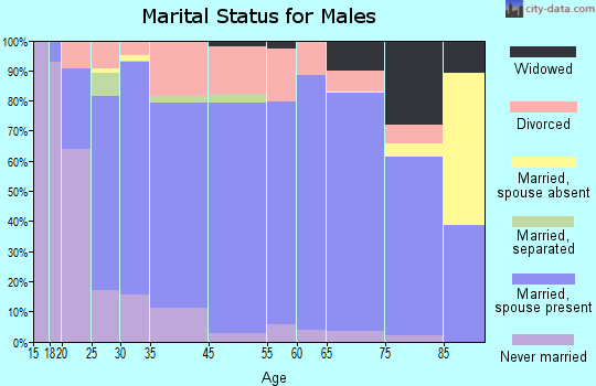 Iroquois County marital status for males