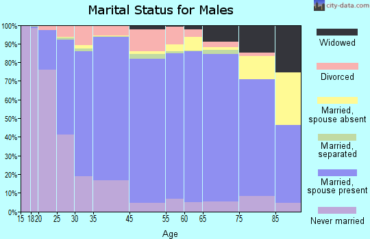 Renville County marital status for males