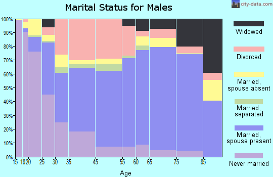 Haywood County marital status for males