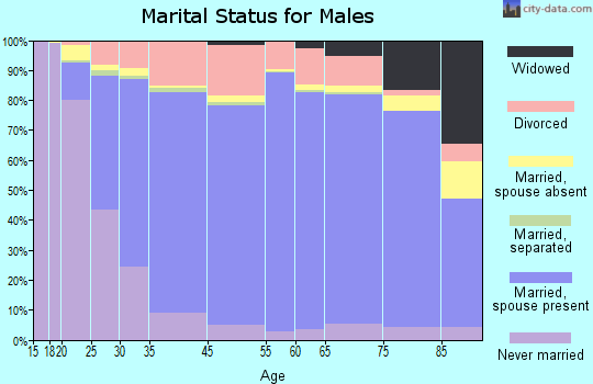 Borden County marital status for males