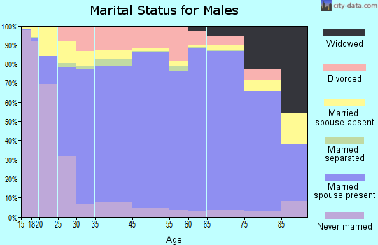 Rich County marital status for males