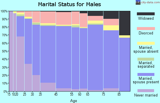 Gallatin County marital status for males